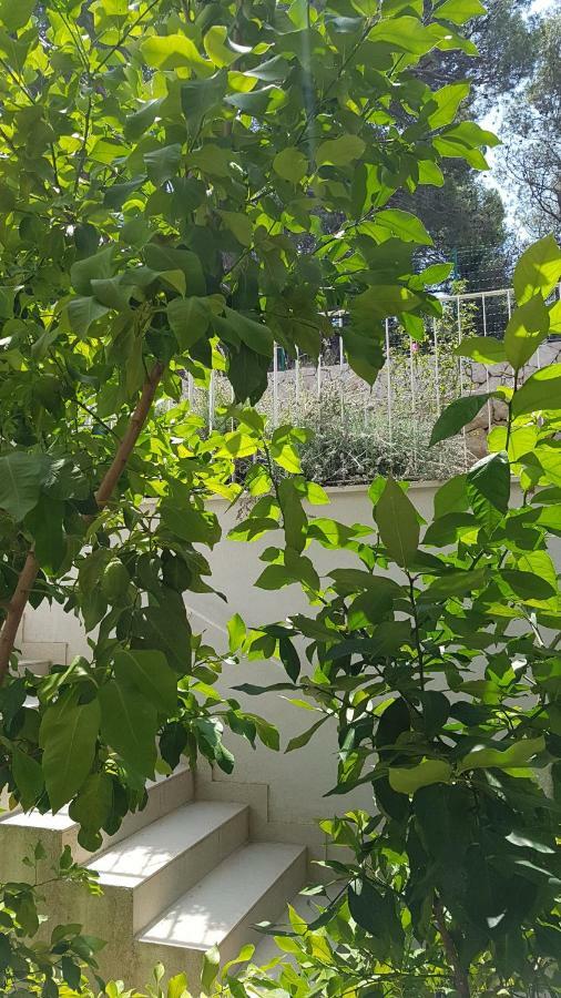 Apartman Di Mali Lošinj Buitenkant foto